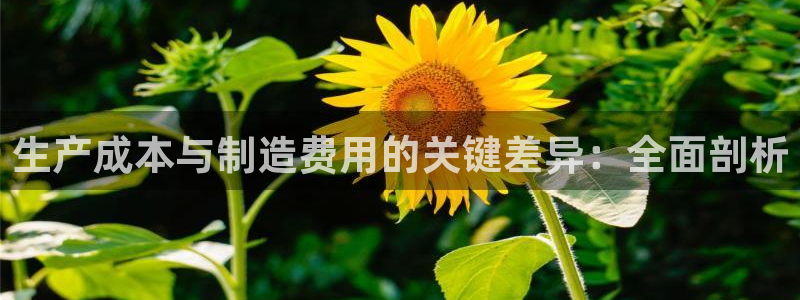 彩神ix官网是哪个公司的：生产成本与制造费用的关键差异：全面剖析
