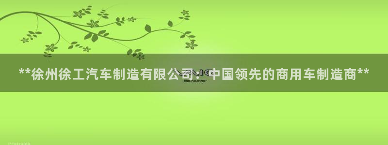 彩神大发云：**徐州徐工汽车制造有限公司：中国领先的商用车制造商**