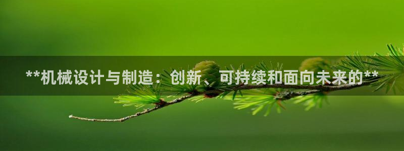彩神赢了钱登录不上去：**机械设计与制造：创新、可持续和面向未来的**