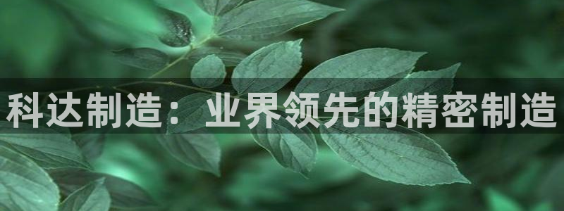 彩神8最新版下载：科达制造：业界领先的精密制造
