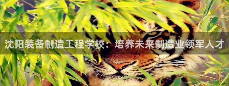 彩神v天天：沈阳装备制造工程学校：培养未来制造业领军人才