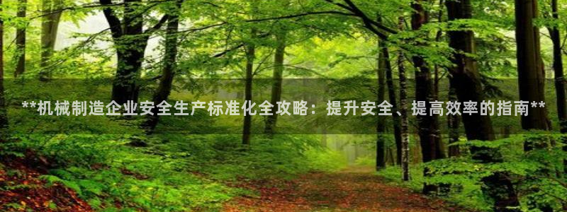 彩神v8是一个什么平台：**机械制造企业安全生产标准化全攻略：提升安全、提高效率的指南**