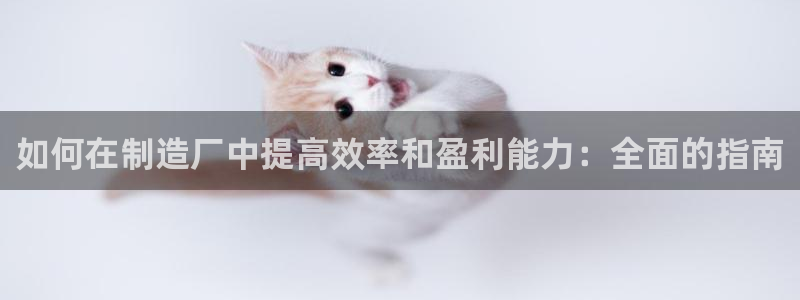 彩神V集团有限公司：如何在制造厂中提高效率和盈利能力：全面的指南