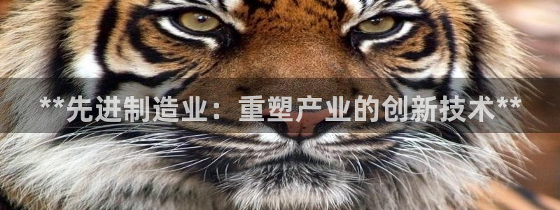 彩神v1破解器：**先进制造业：重塑产业的创新技术**