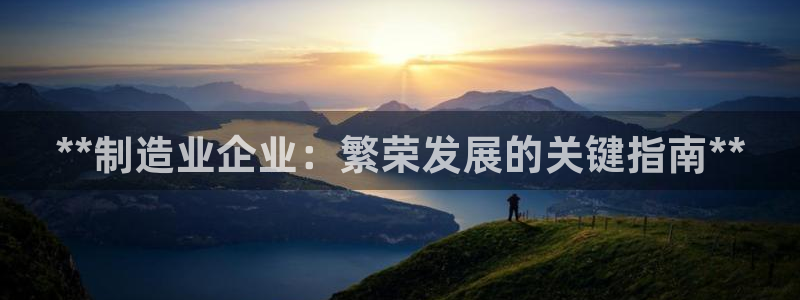 彩神Vll购彩大厅：**制造业企业：繁荣发展的关键指南**