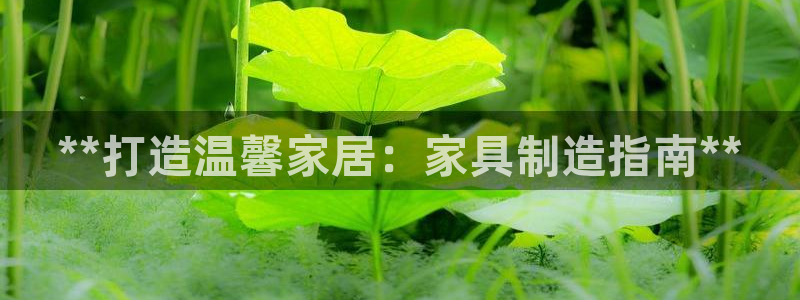 彩神iv争霸购彩大厅：**打造温馨家居：家具制造指南**
