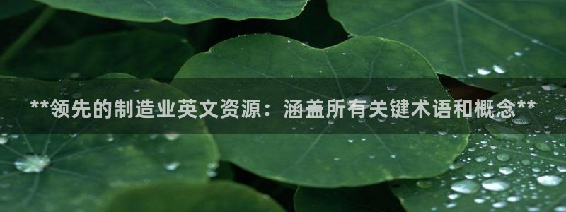 彩神v大众娱乐：**领先的制造业英文资源：涵盖所有关键术语和