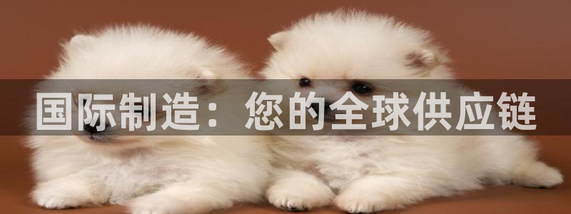 彩神vip购彩大厅下载：国际制造：您的全球供应链