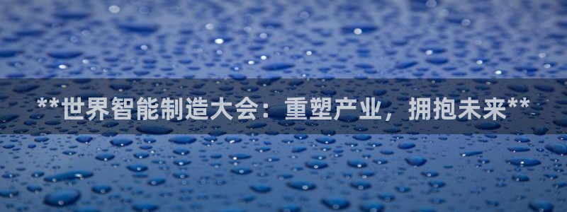 彩神ⅴll用户登录：**世界智能制造大会：重塑产业，拥抱未来