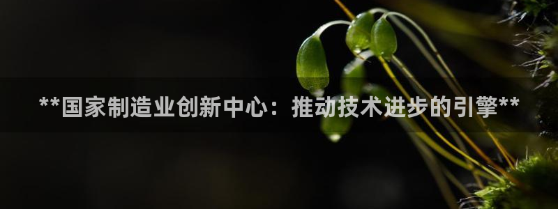 彩神vip购彩大厅在哪：**国家制造业创新中心：推动技术进步的引擎**