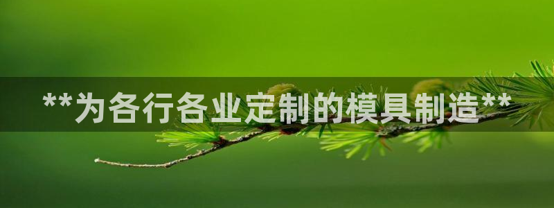 彩神Vll购彩大厅：**为各行各业定制的模具制造**