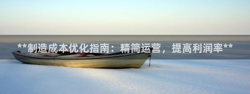 彩神争霸官网登录平台：**制造成本优化指南：精简运营，提高利润率**