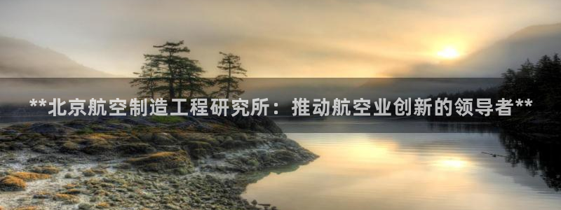 彩神赢的钱是哪里来的：**北京航空制造工程研究所：推动航空业创新的领导者**