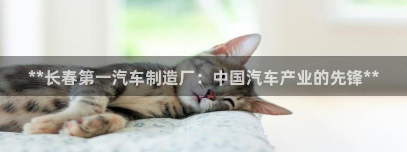 彩神官方登录：**长春第一汽车制造厂：中国汽车产业的先锋**