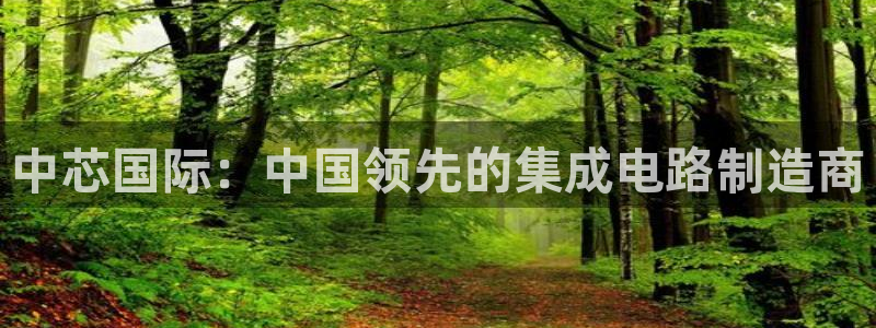 彩神趣购彩用户注册：中芯国际：中国领先的集成电路制造商