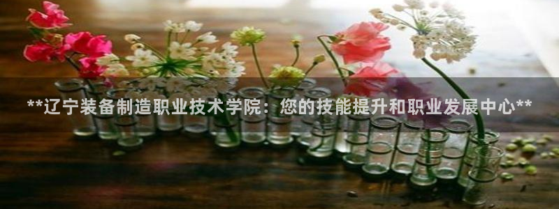 彩神ix官网是哪个公司的