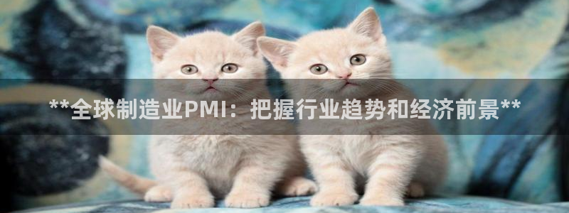 彩神怎么样可以提现：**全球制造业PMI：把握行业趋势和经济