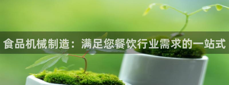 彩神购彩-购彩大厅入口500：食品机械制造：满足您餐饮行业需求的一站式