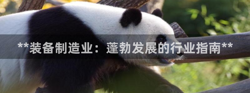 彩神合法吗.是国家认可的吗：**装备制造业：蓬勃发展的行业指南**