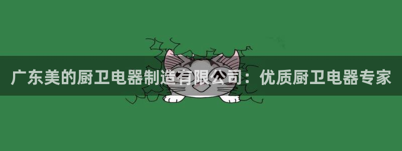 大发彩神官网下载：广东美的厨卫电器制造有限公司：优质厨卫电器专家