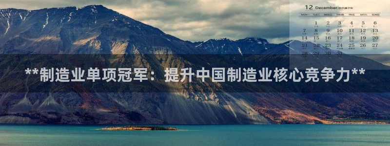 彩神是怎样一个平台：**制造业单项冠军：提升中国制造业核心竞争力**