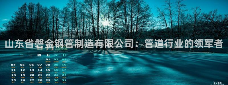 彩神8官网500：山东省磐金钢管制造有限公司：管道行业的领军者