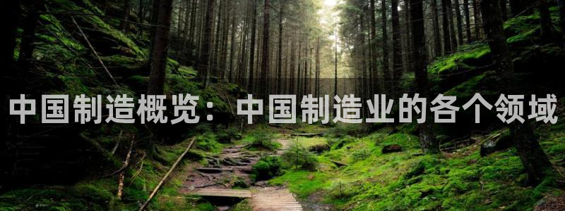 大发彩神最高邀请码：中国制造概览：中国制造业的各个领域
