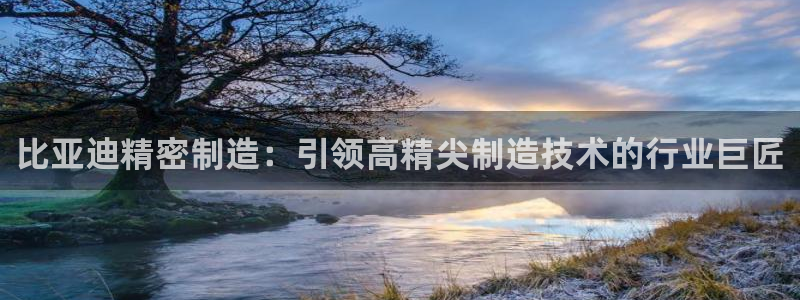 彩神网合法吗：比亚迪精密制造：引领高精尖制造技术的行业巨匠