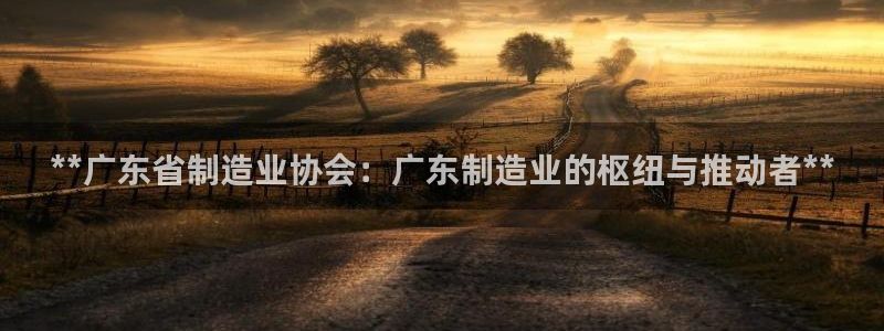 彩神网可以赚钱是真的吗：**广东省制造业协会：广东制造业的枢纽与推动者**
