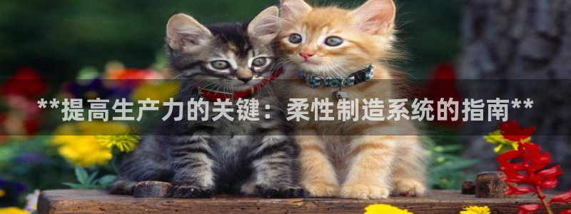 彩神v8下载：**提高生产力的关键：柔性制造系统的指南**