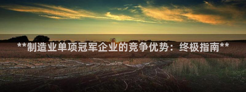 彩神这个平台是真的吗：**制造业单项冠军企业的竞争优势：终极指南**