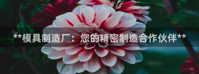 彩神vll趣投彩：**模具制造厂：您的精密制造合作伙伴**