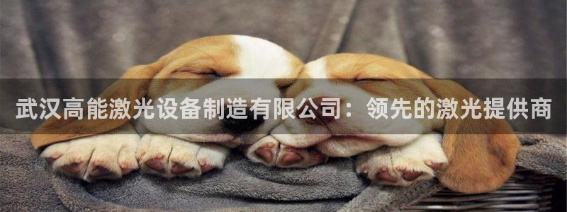 彩神velcome购彩大厅：武汉高能激光设备制造有限公司：领先的激光提供商