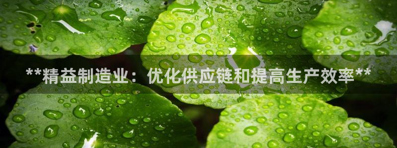 彩神v8平台正规吗可靠吗：**精益制造业：优化供应链和提高生产效率**