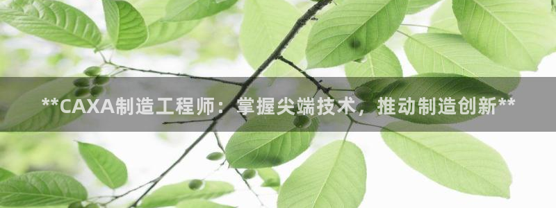 彩神vll购彩大厅：**CAXA制造工程师：掌握尖端技术，推动制造创新**