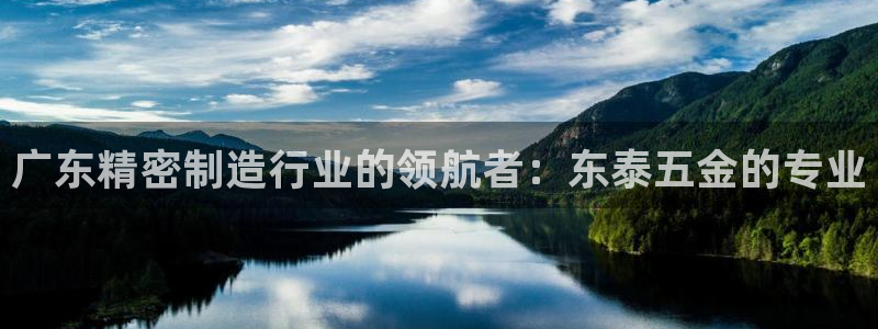 彩神velcome购彩大厅：广东精密制造行业的领航者：东泰五金的专业