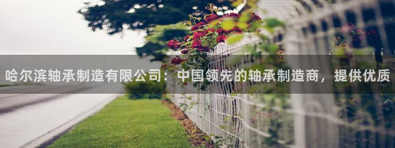 在彩神网输了六万多怎么拿回来：哈尔滨轴承制造有限公司：中国领先的轴承制造商，提供优质
