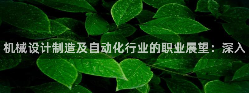 彩神v8手机客户端在哪：机械设计制造及自动化行业的职业展望：
