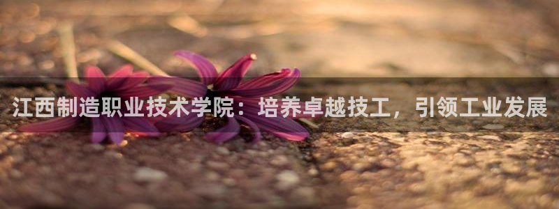 彩神vl购彩大厅：江西制造职业技术学院：培养卓越技工，引领工业发展