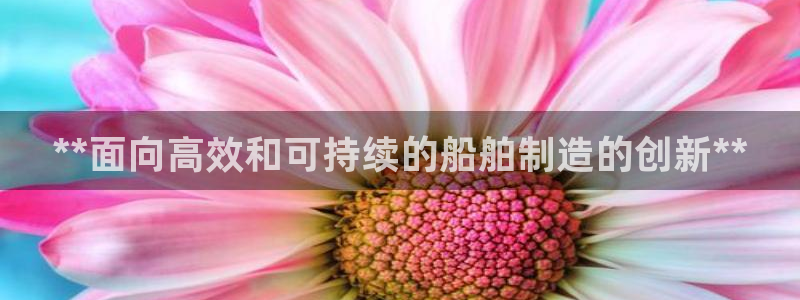彩神vll首页：**面向高效和可持续的船舶制造的创新**