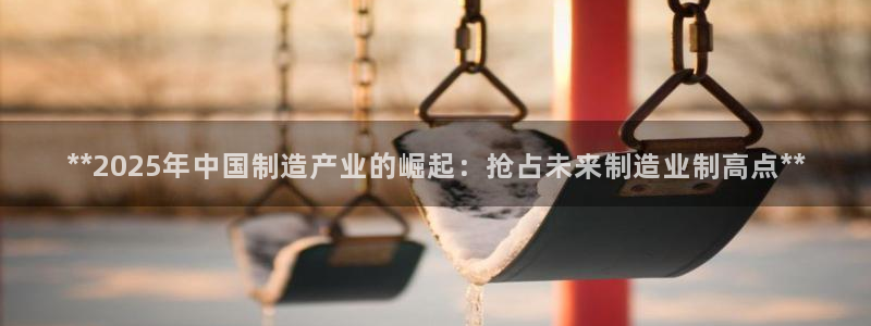 彩神VII购彩中心：**2025年中国制造产业的崛起：抢占未来制造业制高点**