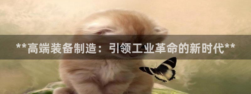 彩神怎么才能赢：**高端装备制造：引领工业革命的新时代**