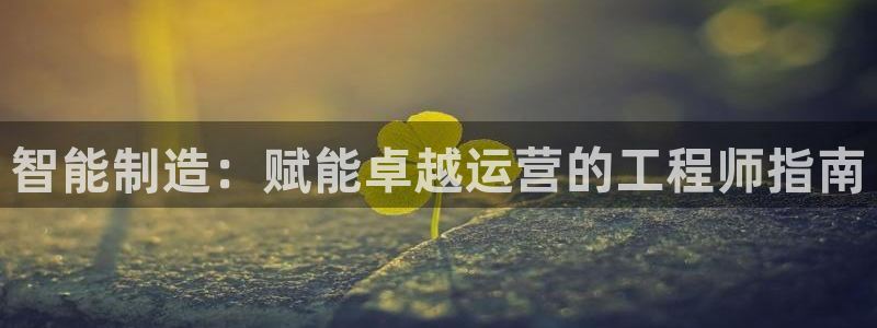 新版彩神v8登录：智能制造：赋能卓越运营的工程师指南