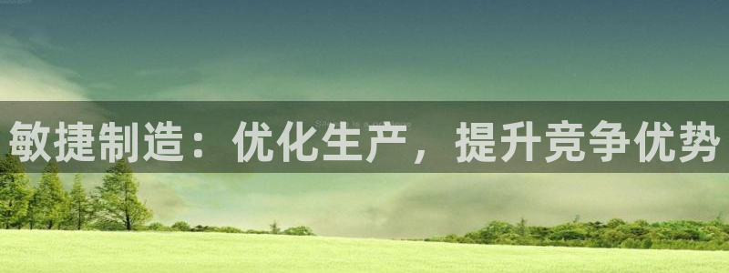 彩神8下载安卓版-彩神8(可提现)官网版1.0.0：敏捷制造：优化生产，提升竞争优势