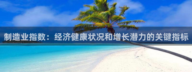 彩神v网赌软件下载：制造业指数：经济健康状况和增长潜力的关键指标