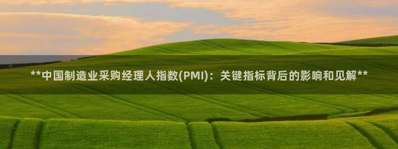 彩神vl官网：**中国制造业采购经理人指数(PMI)：关键指