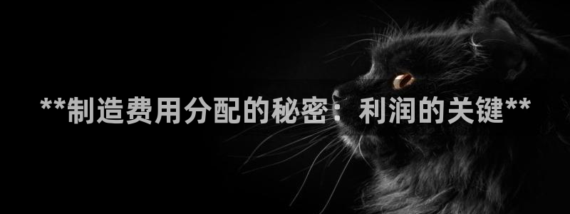 彩神是怎样一个平台：**制造费用分配的秘密：利润的关键**