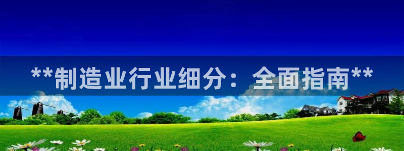 彩神大发官网：**制造业行业细分：全面指南**