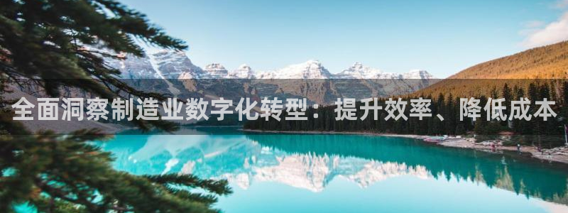 彩神iv真的能赚钱吗：全面洞察制造业数字化转型：提升效率、降低成本