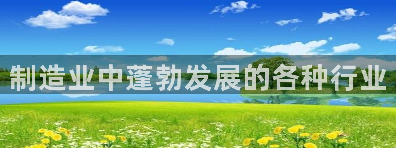 彩神购彩-购彩大厅入口500：制造业中蓬勃发展的各种行业
